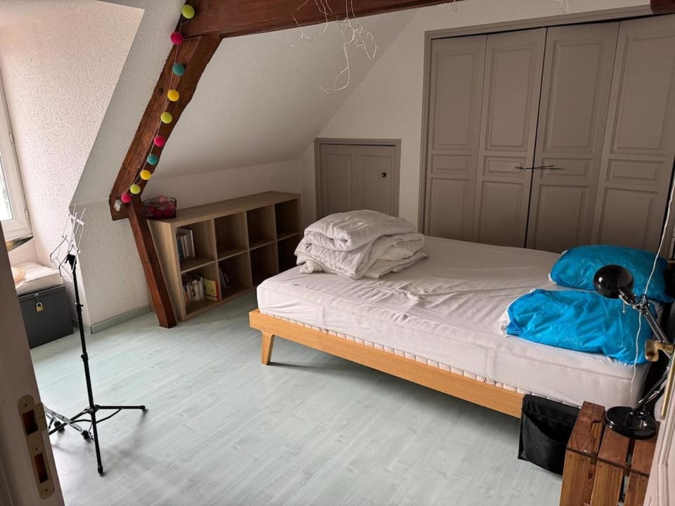 Large house with pool, spa and park House in Auvergne-Rhône-Alpes