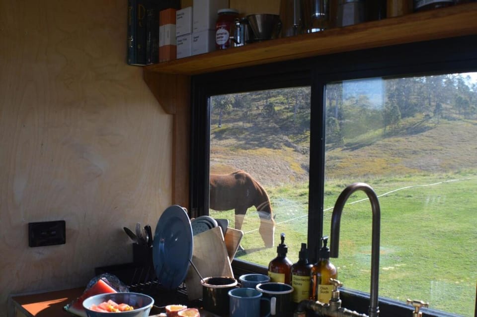 Valley Views Off-Grid Cabin - Pet Friendly - Nicho Cabin in Barrington