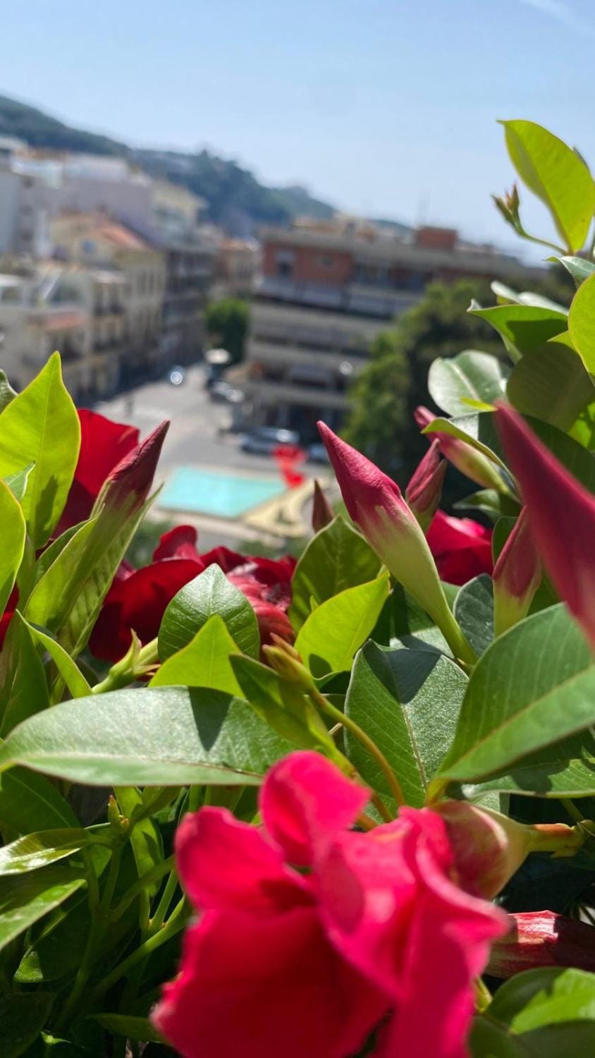 View (from property/room), Balcony/Terrace
