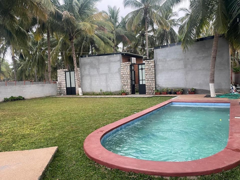 Garden, Garden, Swimming pool, Swimming pool