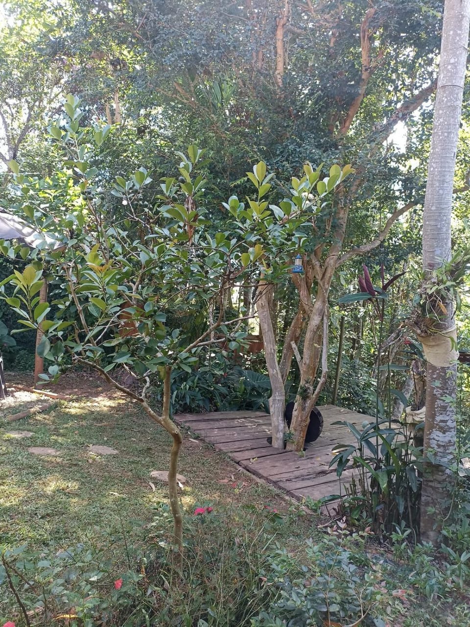 Casa Container na mata atlântica House in Sao Paulo City