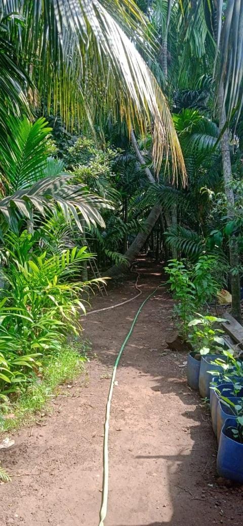 Gajanan Holidays Apartment in Maharashtra