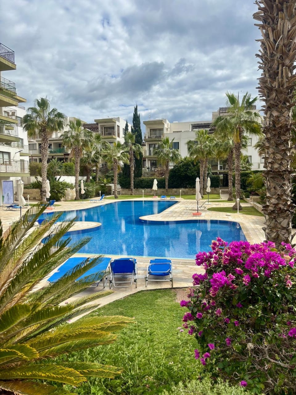 Natural landscape, Garden view, Swimming pool, sunbed