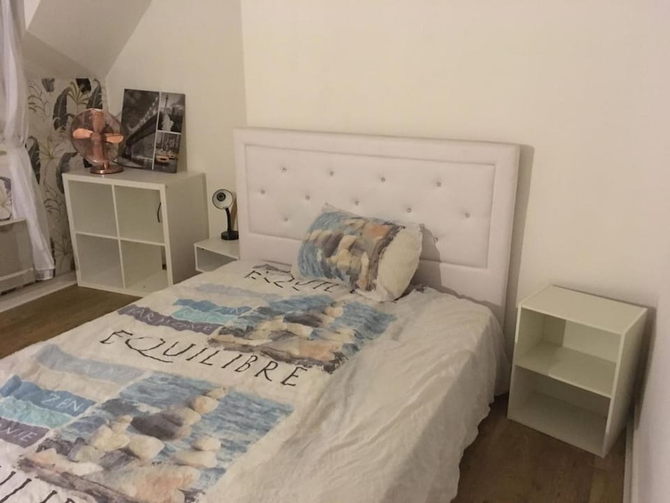 Charmant appartement Centre ville Apartment in Orléans