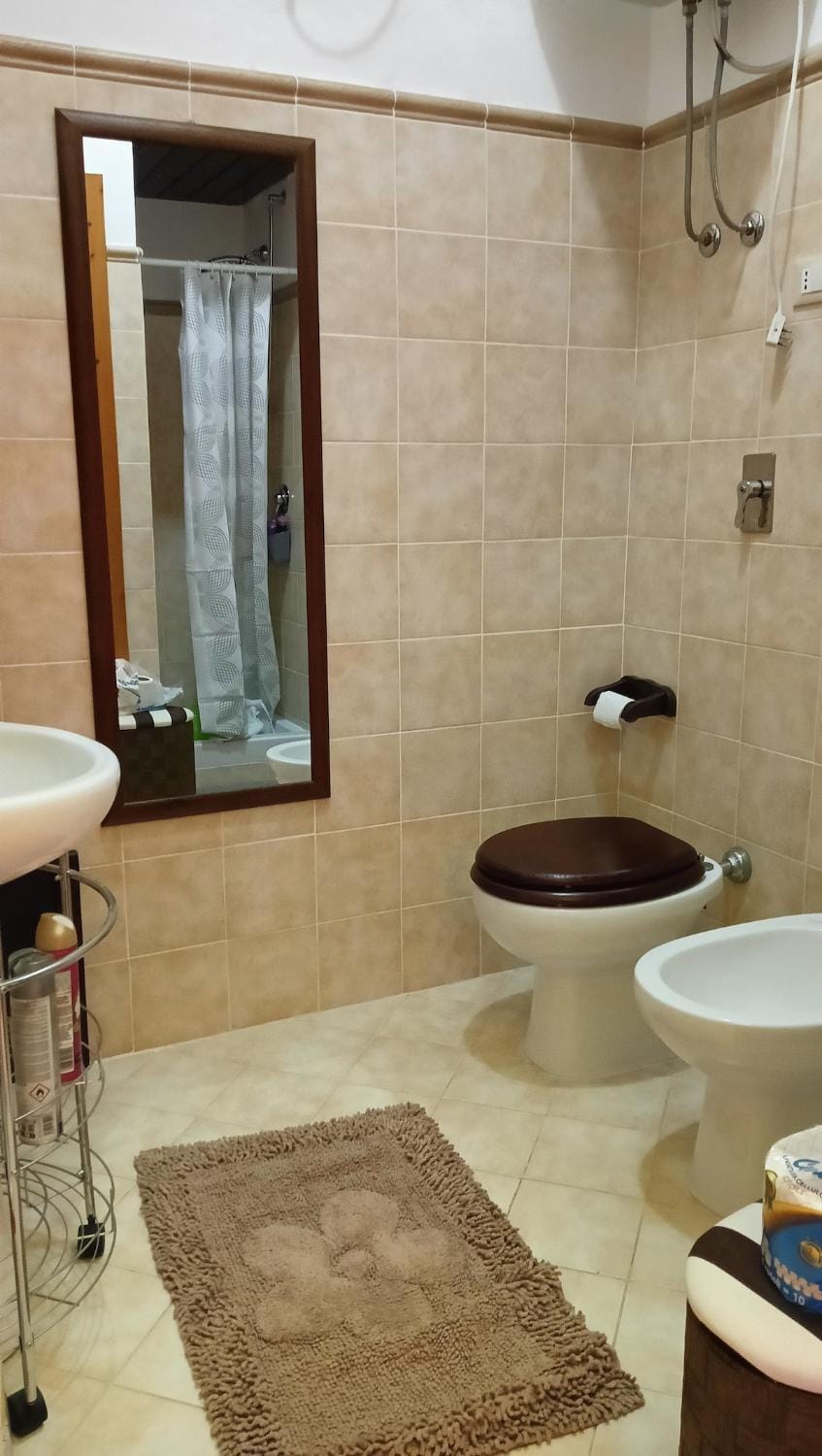 Shower, Toilet, Bathroom, bidet
