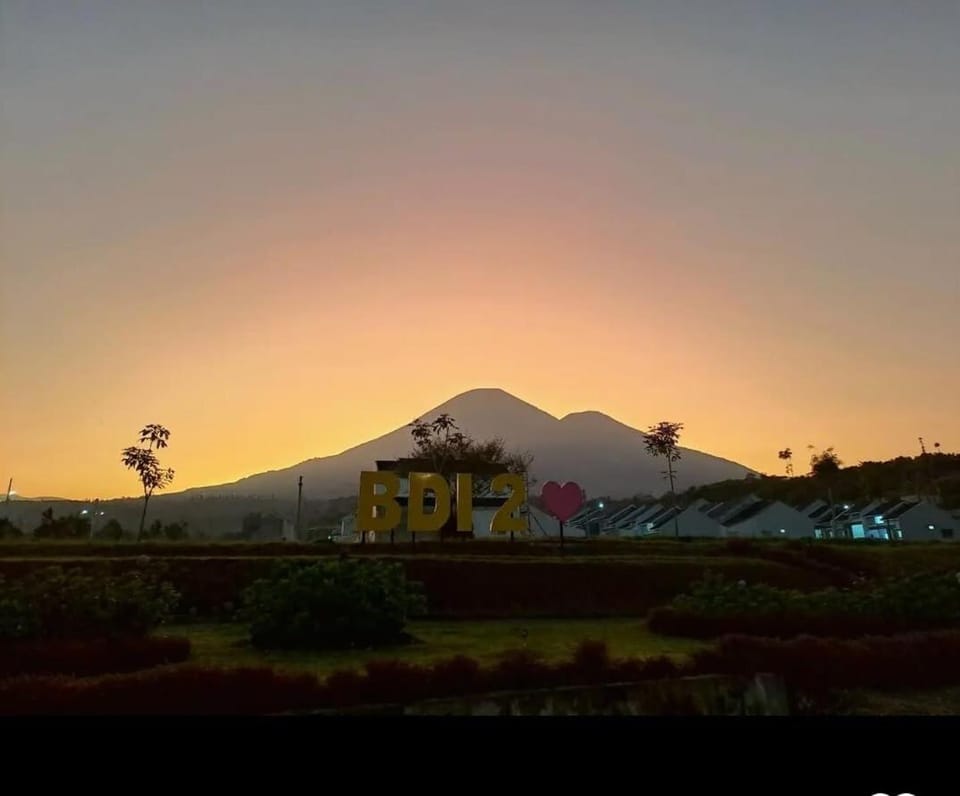 Natural landscape, Garden, Mountain view