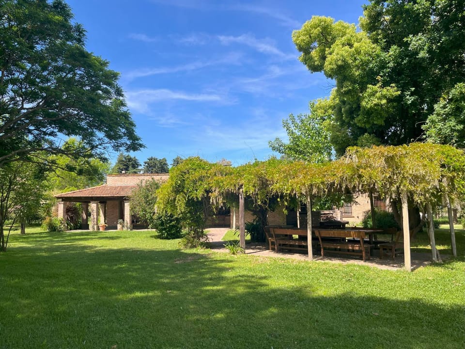 Spring, Garden, Garden view, Meals