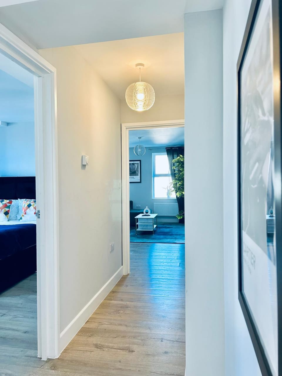 Photo of the whole room