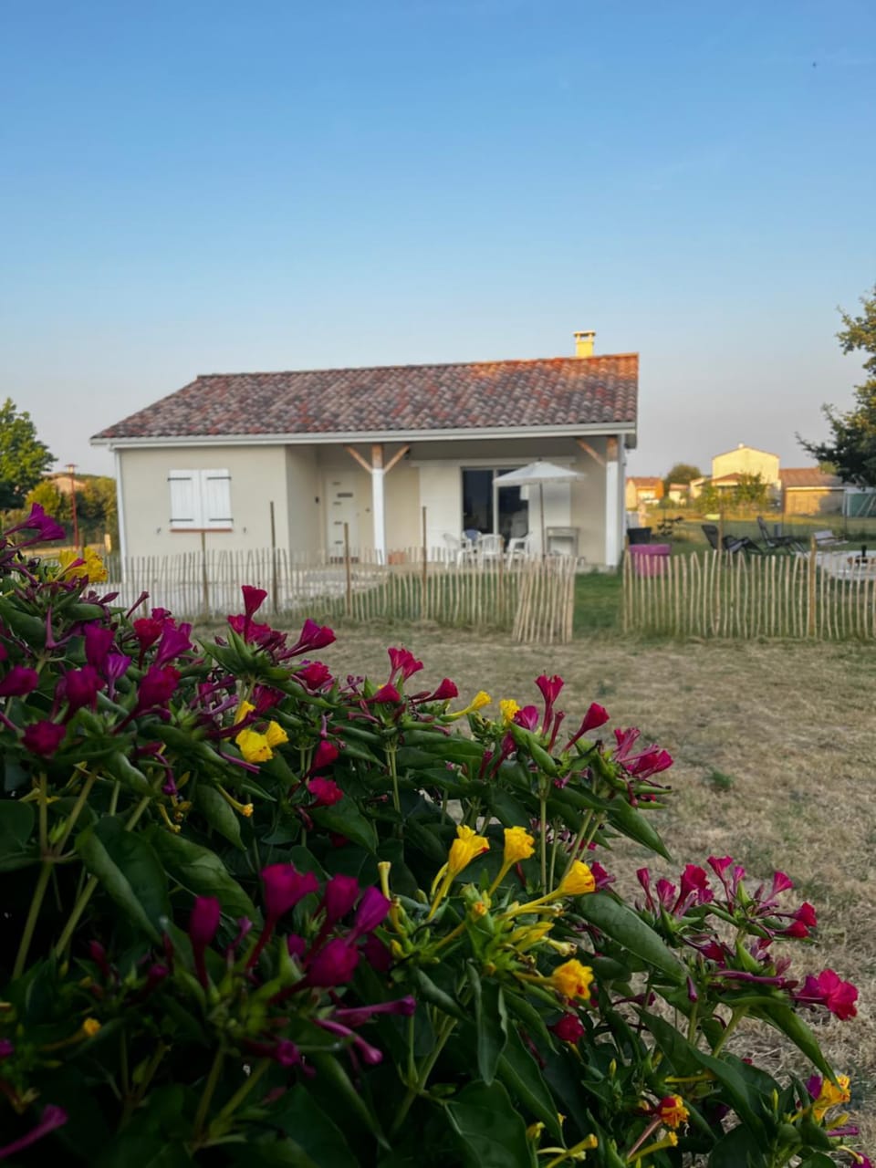 Property building, Garden view