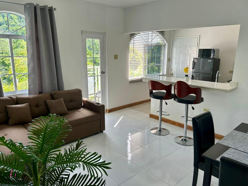 Kitchen or kitchenette, Living room, Seating area, Dining area