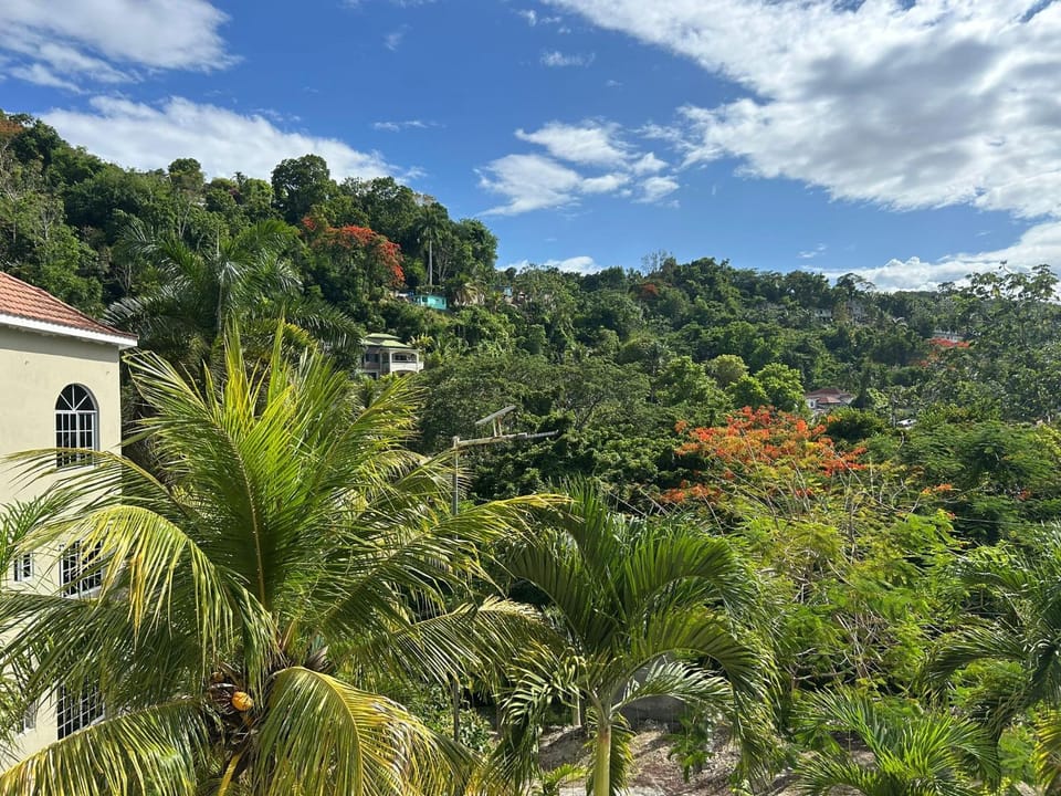 Natural landscape, Garden view, Mountain view