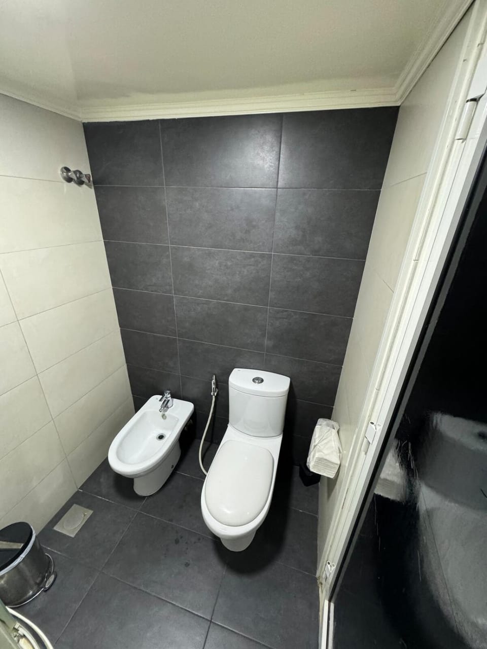Toilet, Bathroom, bidet