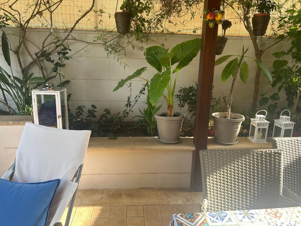 Garden view
