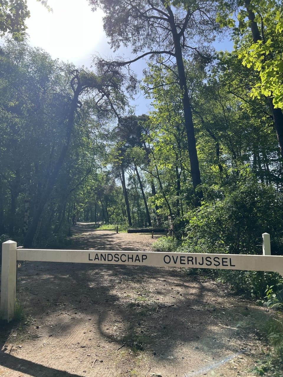Natural landscape