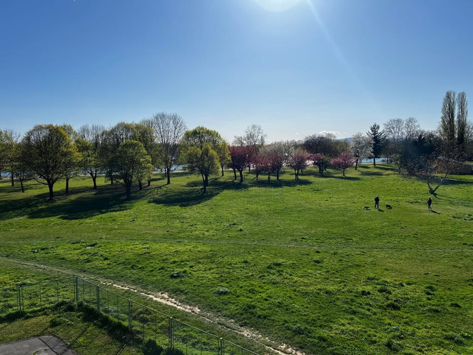 Day, Natural landscape, Lake view, Landmark view, Quiet street view