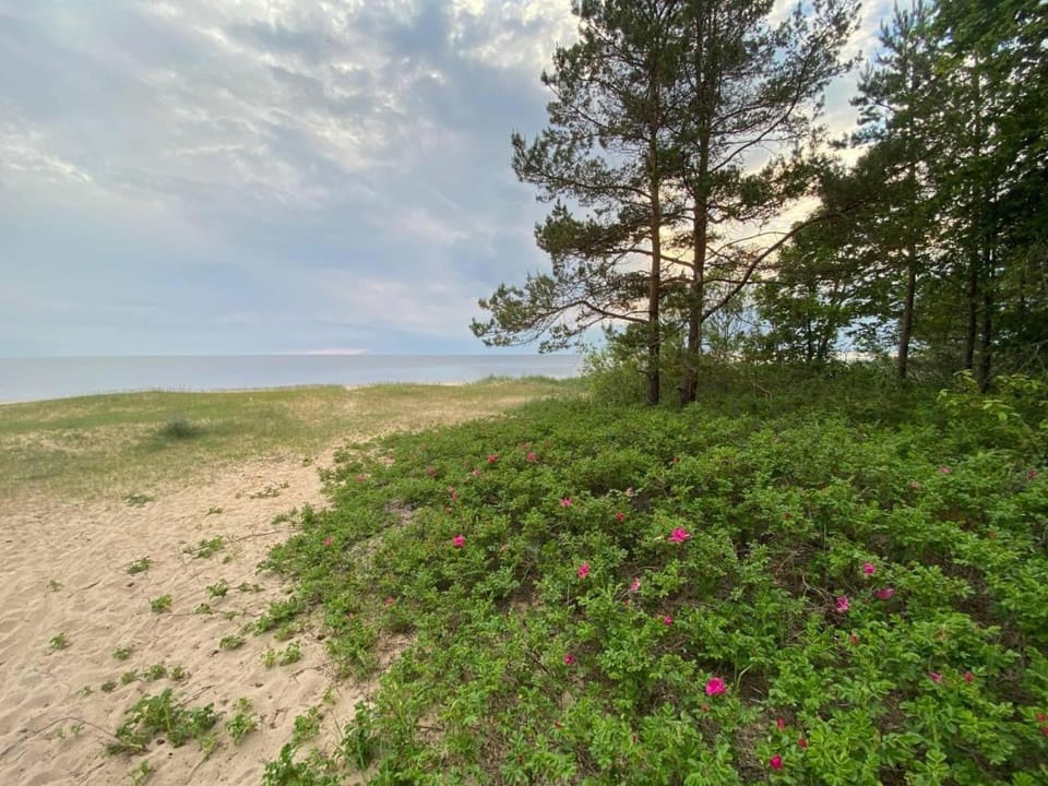 Spring, Day, Natural landscape, Beach, Sea view