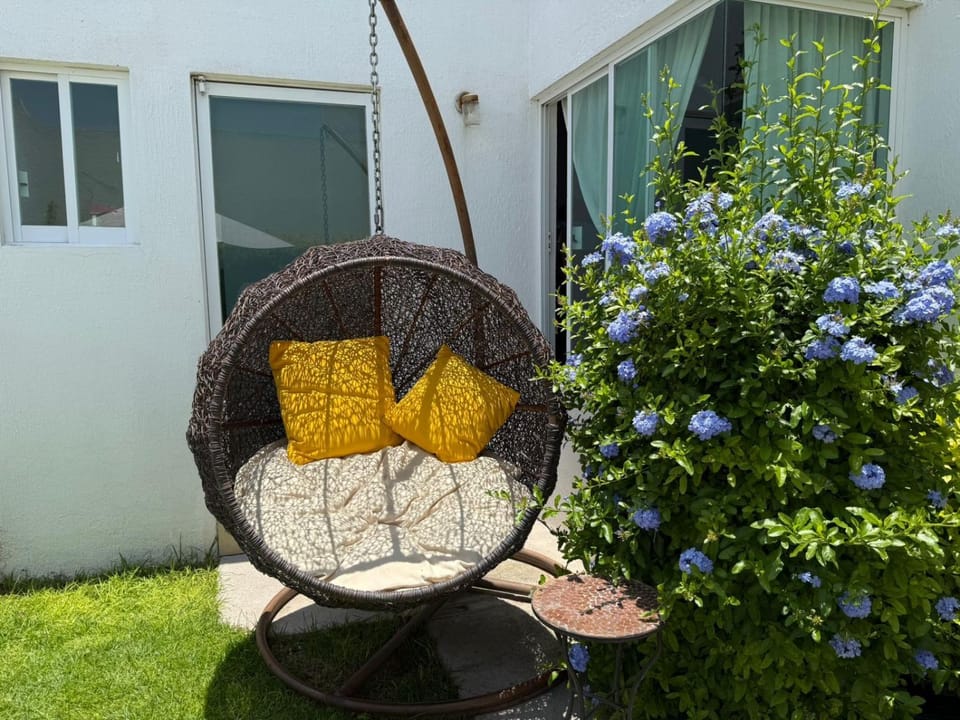 Spring, Garden, Garden view