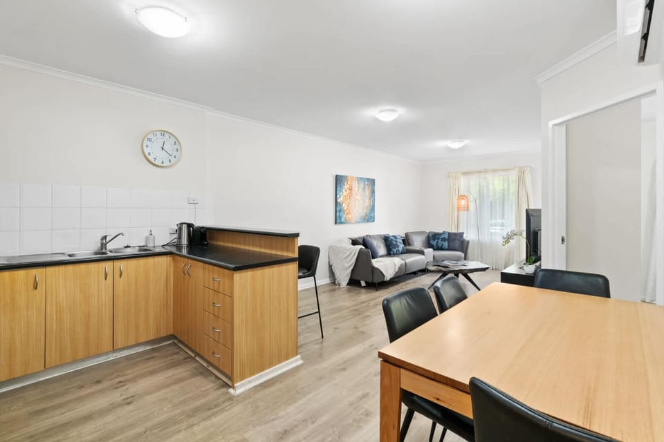 Central 3BR Apt Parking WiFi Netflix Apartment in Adelaide