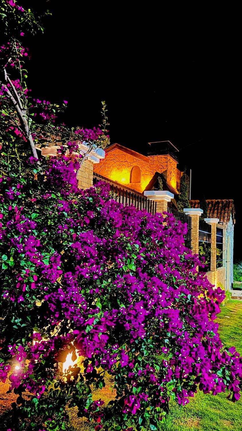 Property building, Garden, Garden view
