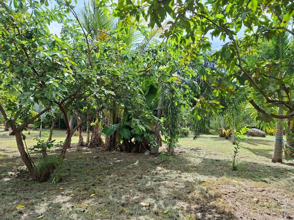 Garden, Garden view