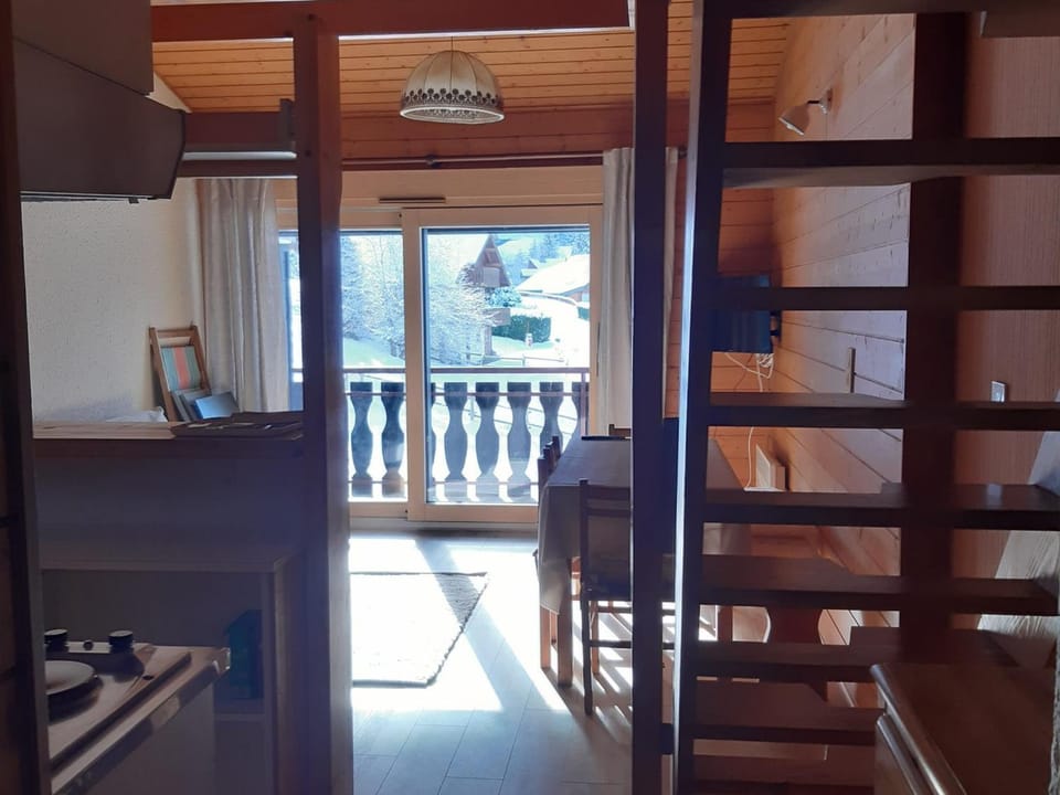 Studio Mezzanine 4 Pers, Parking, Près Centre Châtel - FR-1-676-213 Apartment in Châtel