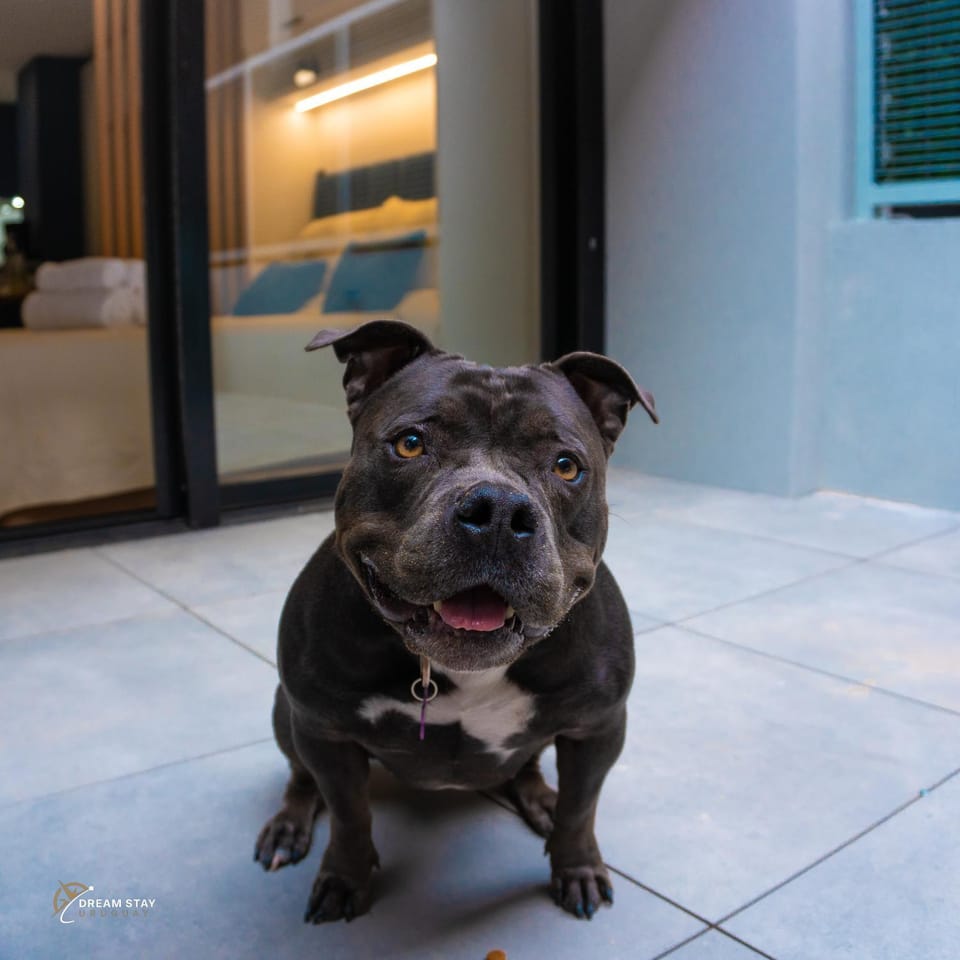 Nostrum Bay - Penthouse piso 25 con vistas panorámicas - Gimnasio exterior y conserjería presencial 24 horas - Acepta mascotas Apartment in Montevideo Department, Uruguay