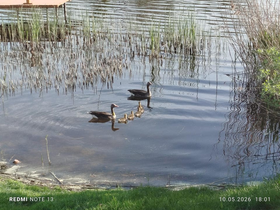 Malownicze Owieczki Farm Stay in Greater Poland Voivodeship