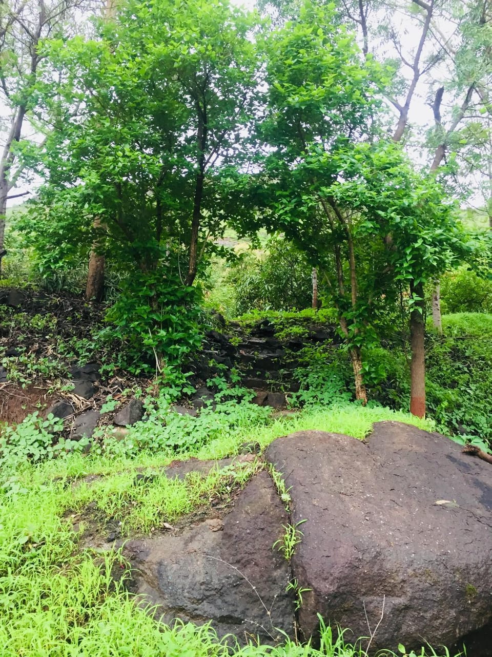 Umang Homestay and farm, farmhouse near trimbak, Nashik House in Maharashtra