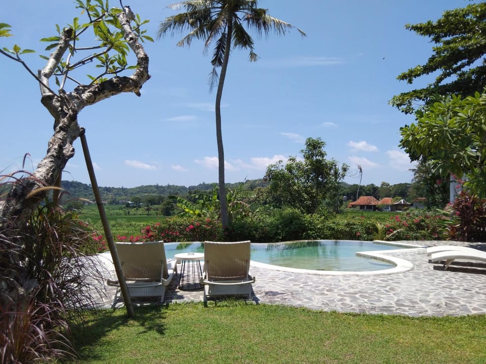 Natural landscape, Garden, Pool view, Swimming pool, Swimming pool, sunbed