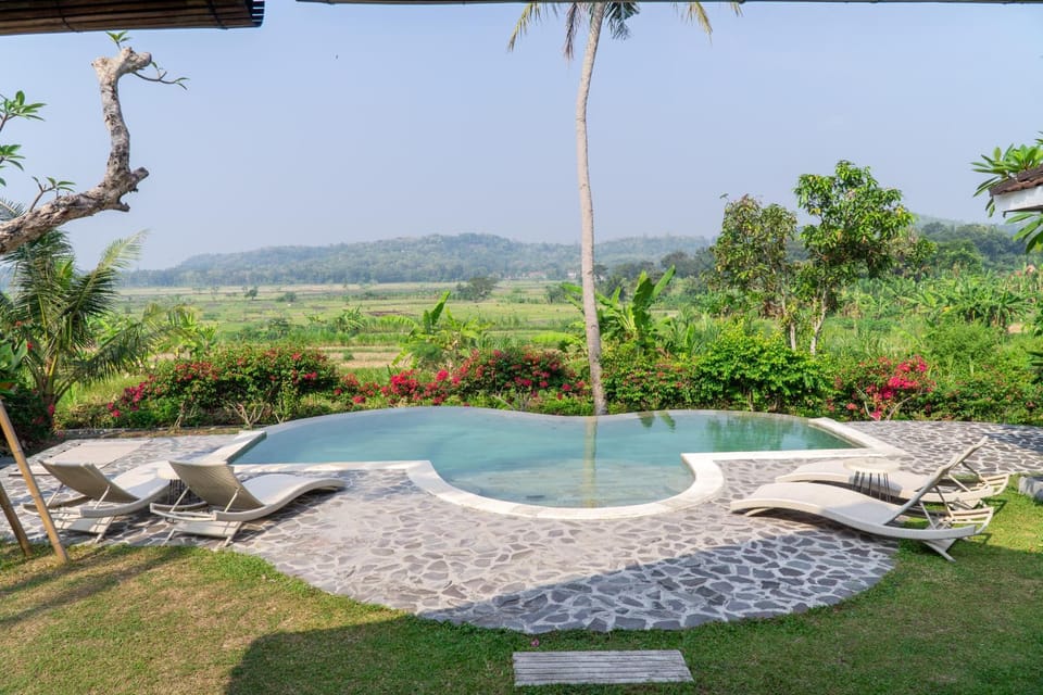 View (from property/room), Pool view, Swimming pool
