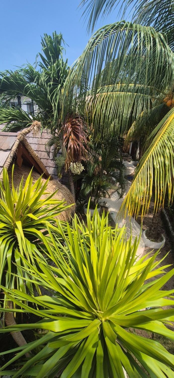 Natural landscape, Garden, Garden view