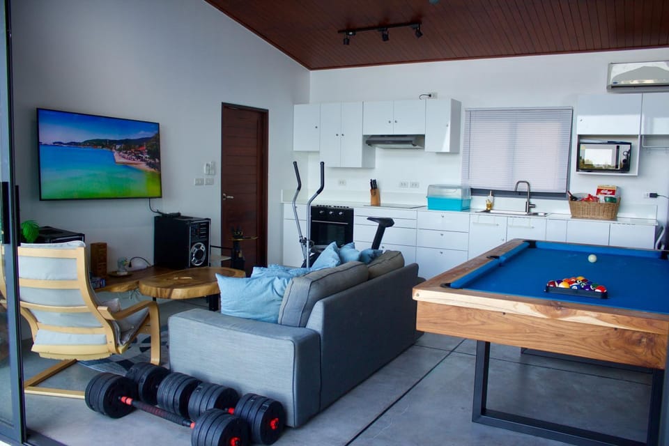 TV and multimedia, Kitchen or kitchenette, Living room, Seating area, Evening entertainment, minibar, oven, pet friendly