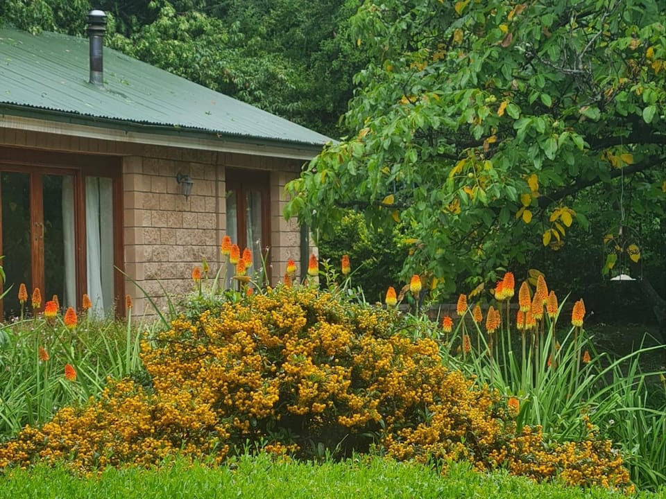 Property building, Garden