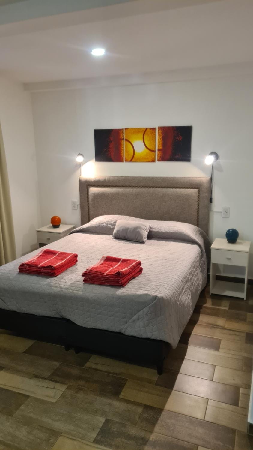 Paso aristides mendoza!! Apartment in Mendoza