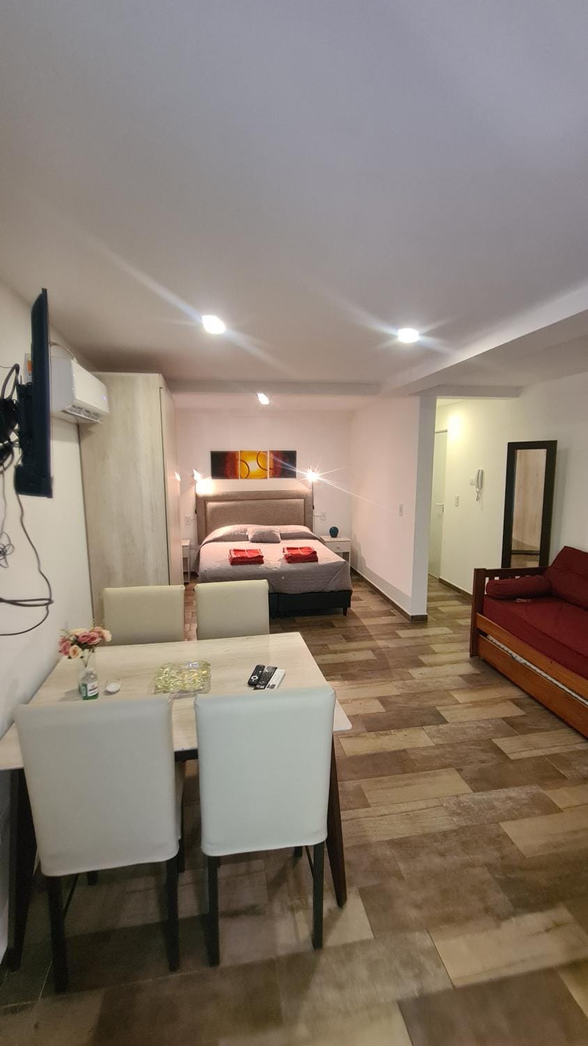 Paso aristides mendoza!! Apartment in Mendoza