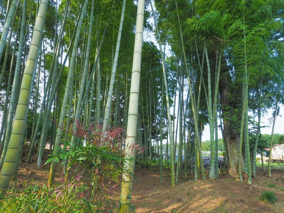 黒羽別邸旧後藤邸 House in Japan