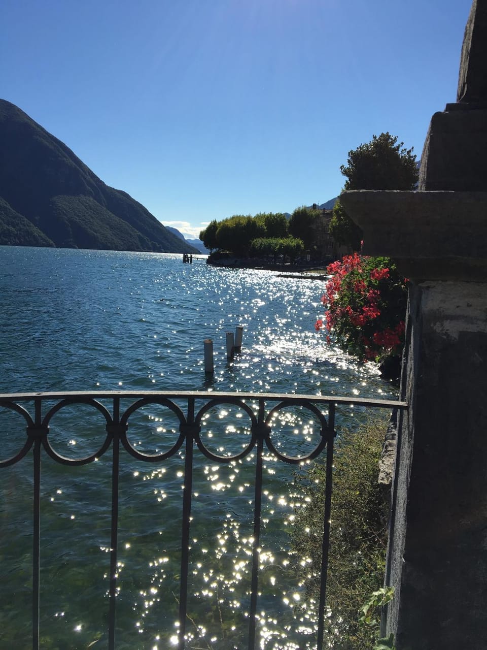 Lake view