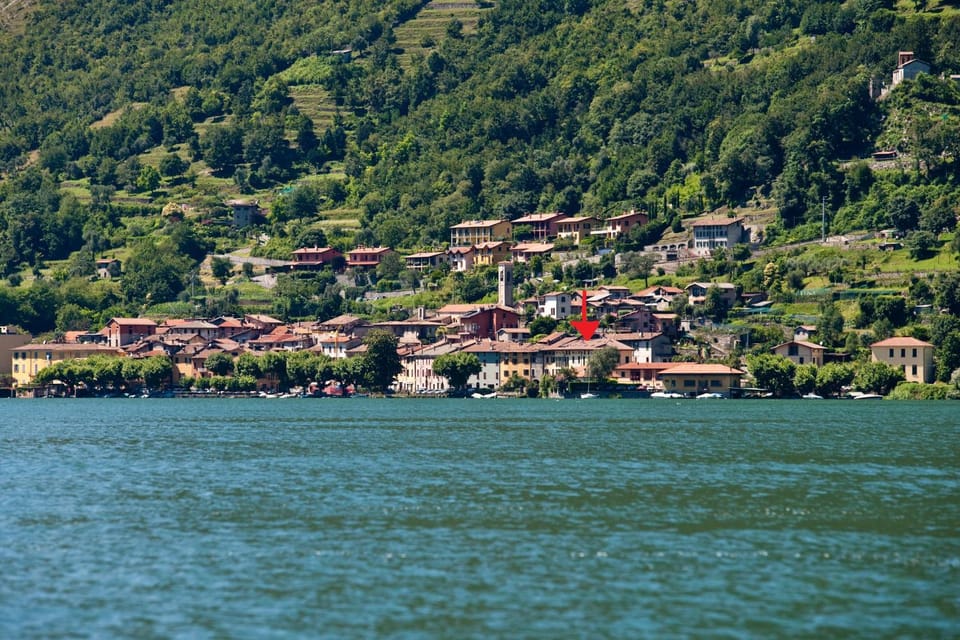 Lake view