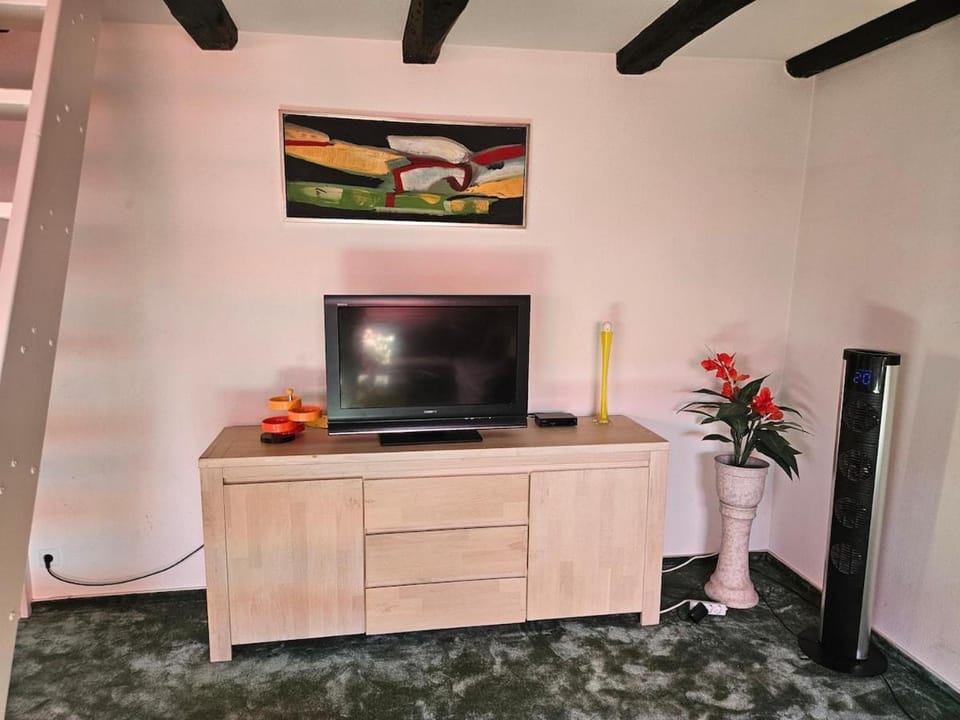 TV and multimedia, Evening entertainment