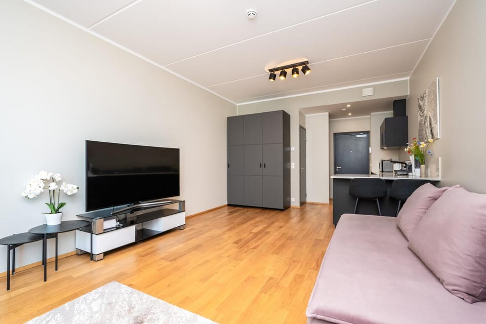 Simple Stay at Katusepapi Apartment in Tallinn
