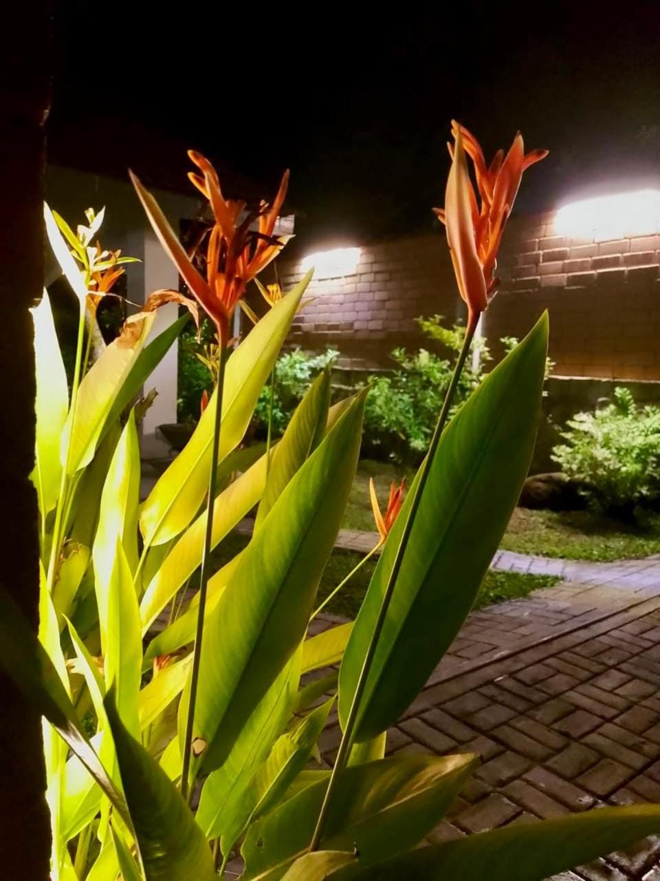 Windy Oasis House in Hikkaduwa
