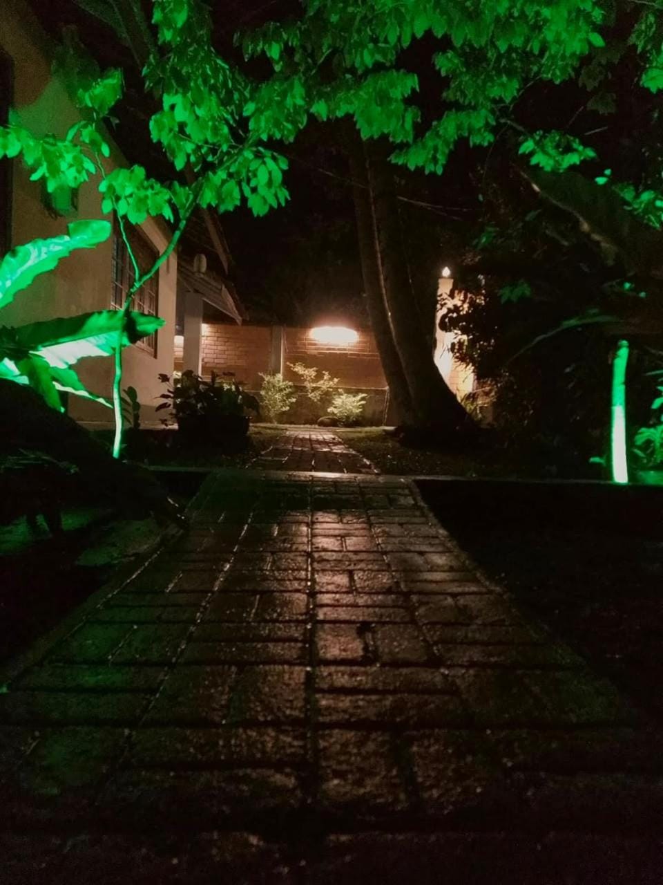 Windy Oasis House in Hikkaduwa