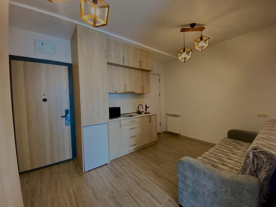 Bed, TV and multimedia, Kitchen or kitchenette, Living room, Photo of the whole room, Seating area, Bedroom, minibar, wardrobe