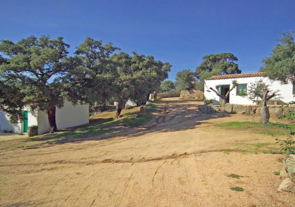 Property building, Spring, Day, Natural landscape