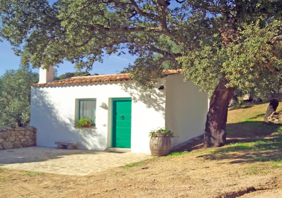 Property building, Garden view