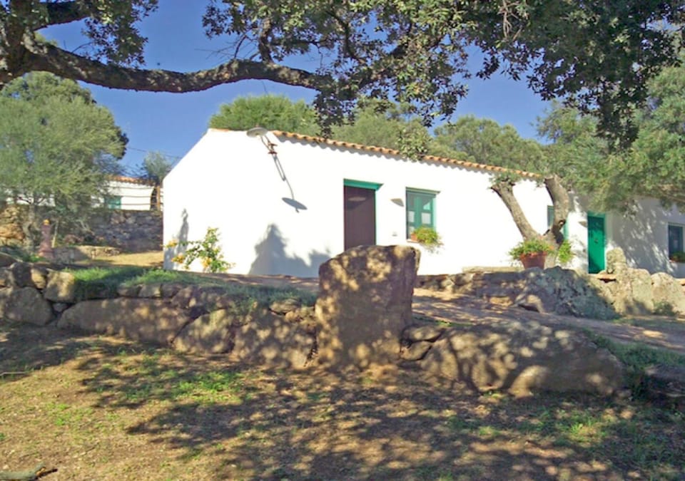 Property building, Spring, Day, Garden, Garden view