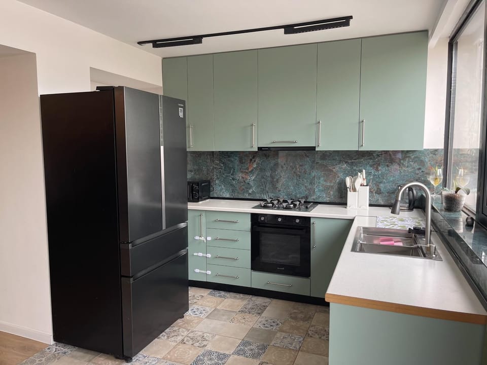 Kitchen or kitchenette, dishwasher, minibar, oven, pet friendly, stove