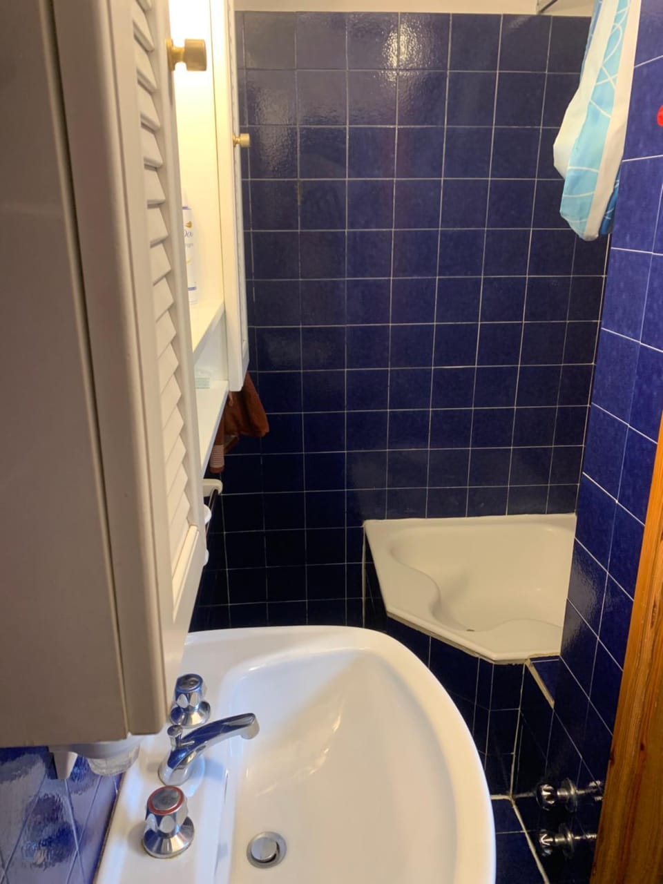 Shower, bidet