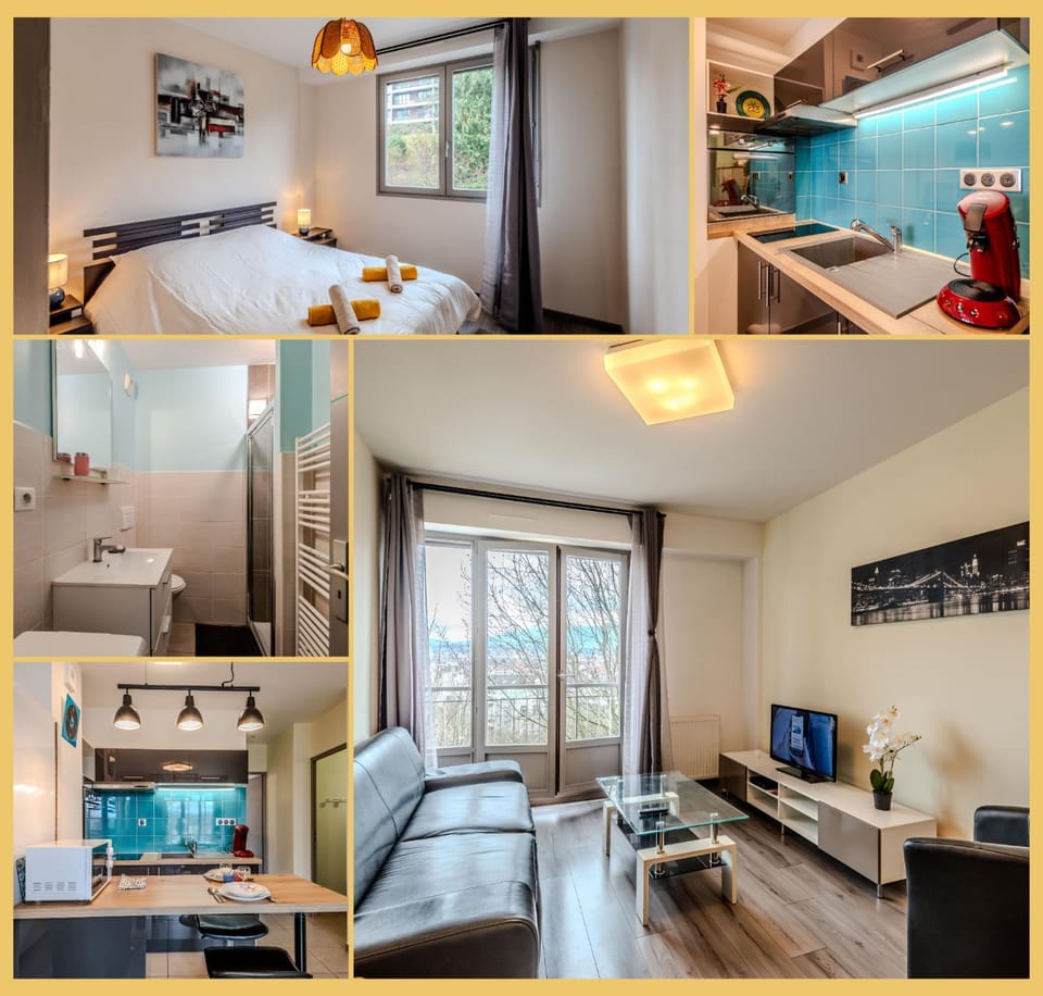 Chez Dams I T2 I Annecy Apartment in Annecy