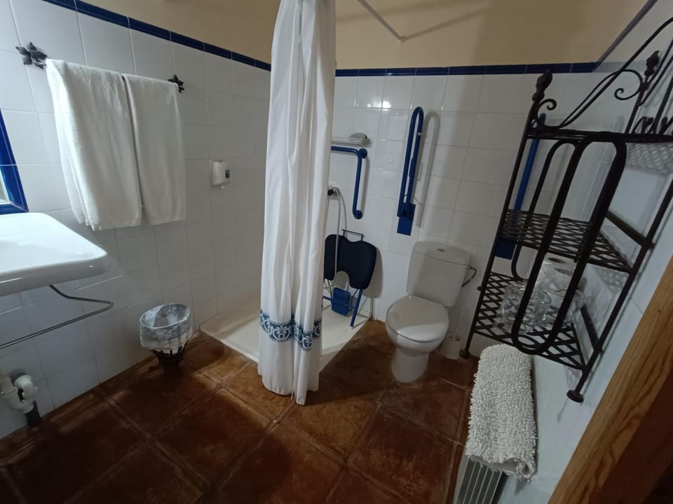Shower, Toilet, Bathroom, Facility for disabled guests